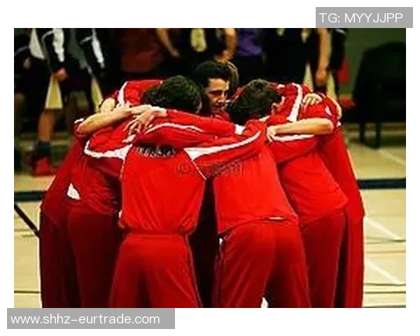 重庆篮球队在挑战赛中的团队协作表现分析与评价